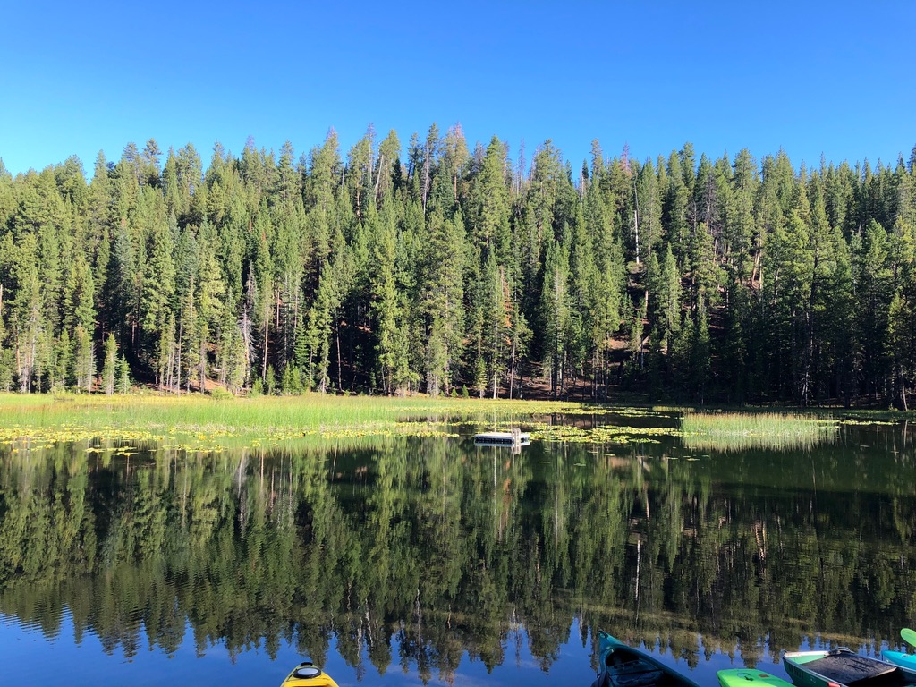 Evergreen trees reflecting on the surface of Tumalo Lake in Oregon