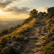 Brave Space Image II A rocky uphill trail winding through sunlit grasses and hills.